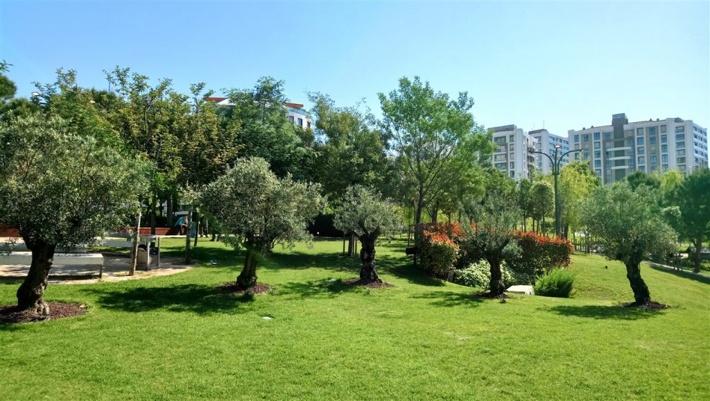 Site İçi Bahçe Bakım ve Peyzaj Hizmetleri